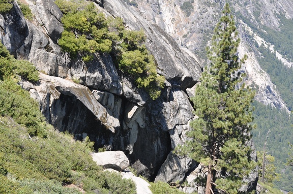 Yosemite 2011 - 264