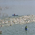 Lake San Antonio Triathlon - 143