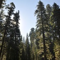 Yosemite 2011 - 089