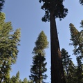 Yosemite 2011 - 096