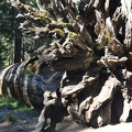 Yosemite 2011 - 113